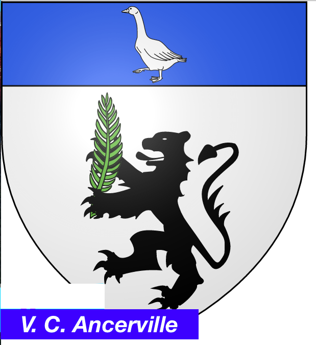 Logo ancervil